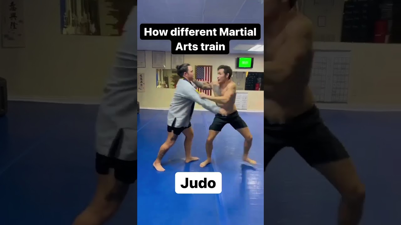 Which martial art do you train in?